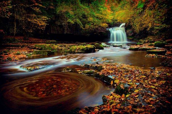 Jesień, jesień, liście i Wodospad Północna Anglia