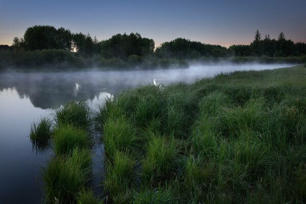 Fog at dawn over the water