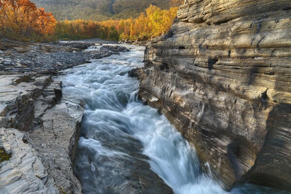 Swiss National Park Autumn Rock