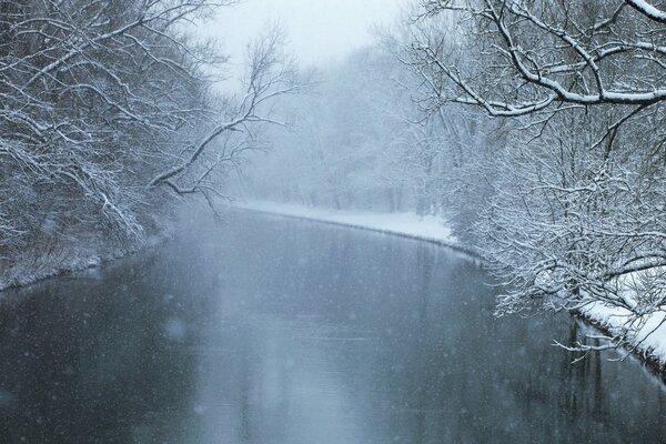 Die Natur ist im Winterschlaf