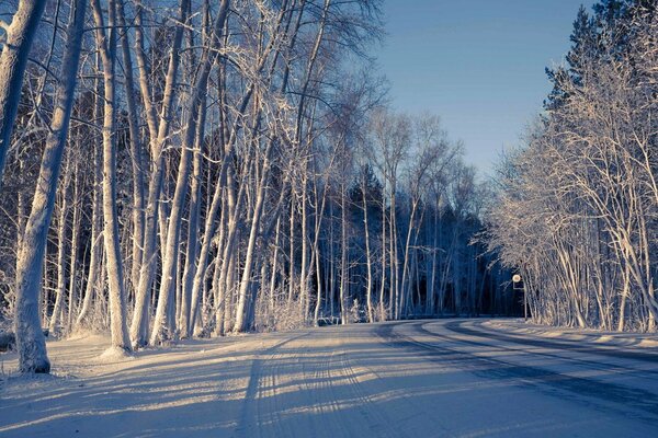 Winterwald Landschaft von der Straße