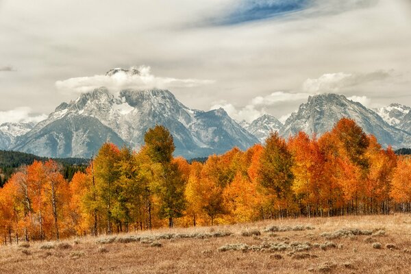 Autumn nature on the background of mountain peaks