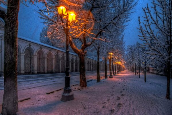 Ein ruhiger Winterspaziergang auf der Straße