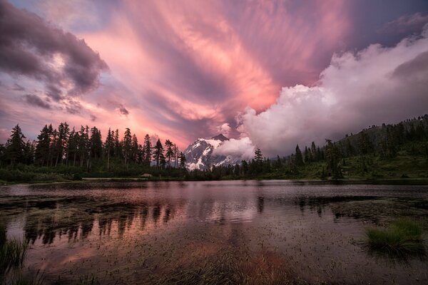 Beau coucher de soleil rose sur la forêt et le lac