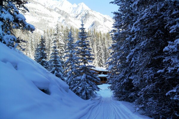 Eine Hütte im verschneiten Wald am Fuße der Berge