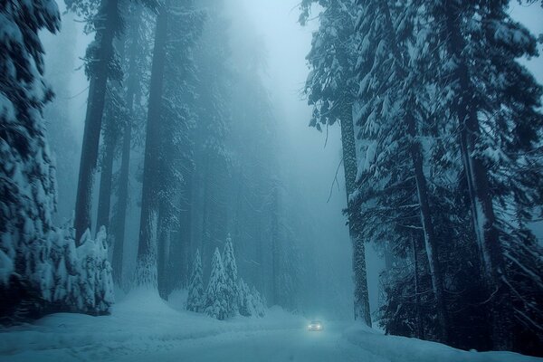 Winter white snowy road