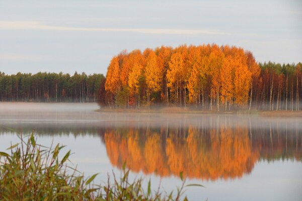 Autumn trees by the water