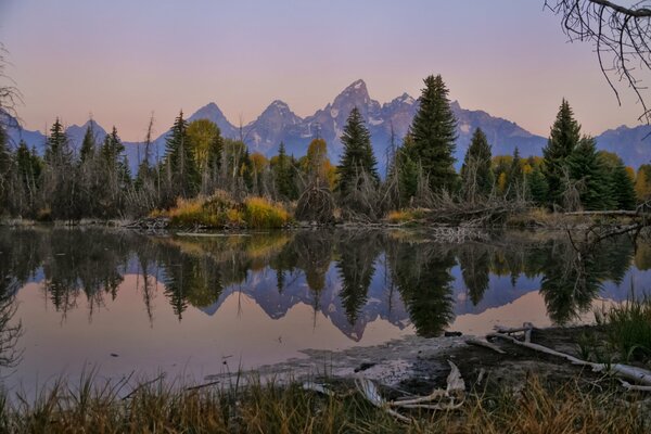 Lac avec reflet de la forêt et des montagnes