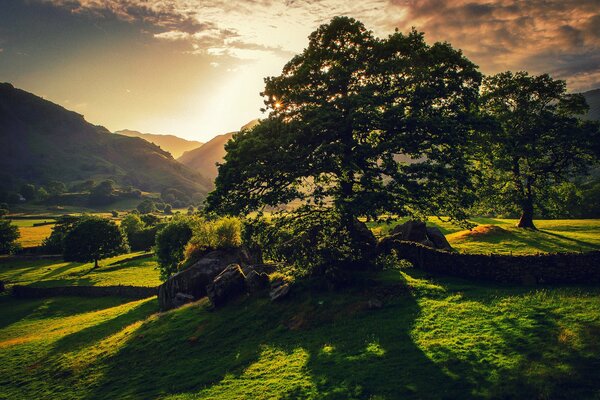 Ein warmer Sommerabend in Großbritannien