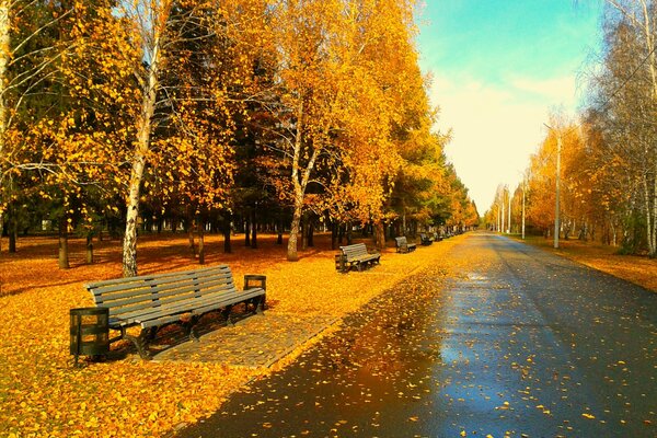 Goldener Park im abendlichen Omsk