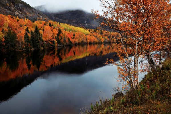 Rzeka w kanadyjskiej prowincji Labrador jesienią