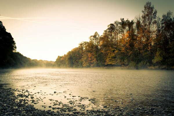 Photo du matin de la rivière. Brouillard et arbres