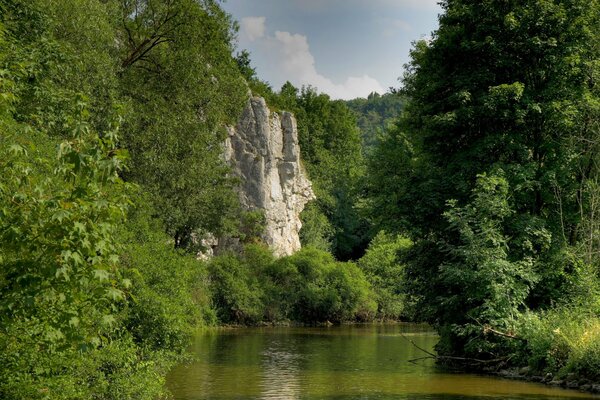 Los bosques en Baviera están intercalados por montañas y ríos