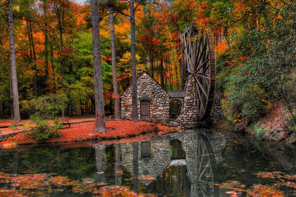 Sentier d automne au moulin