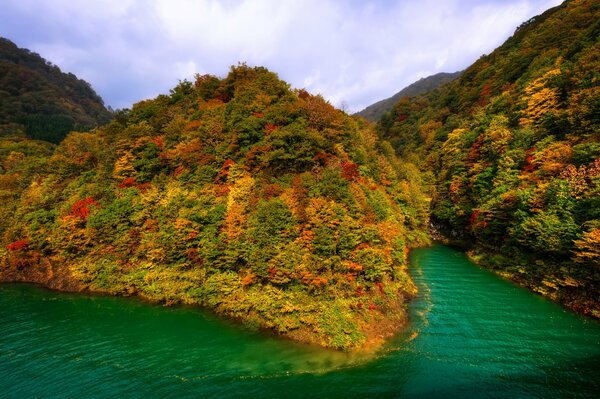 Bosque de otoño y montañas en Japón