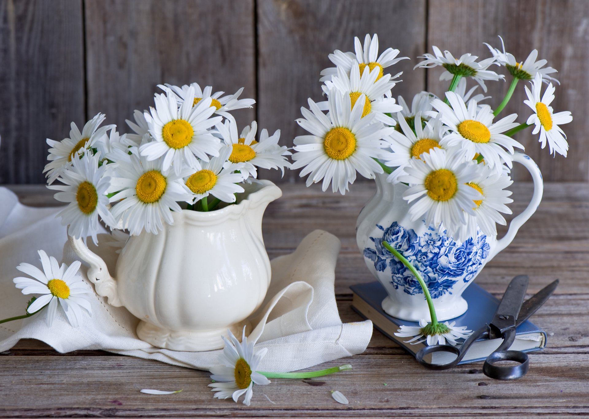 gänseblümchen seerosen schere buch stillleben