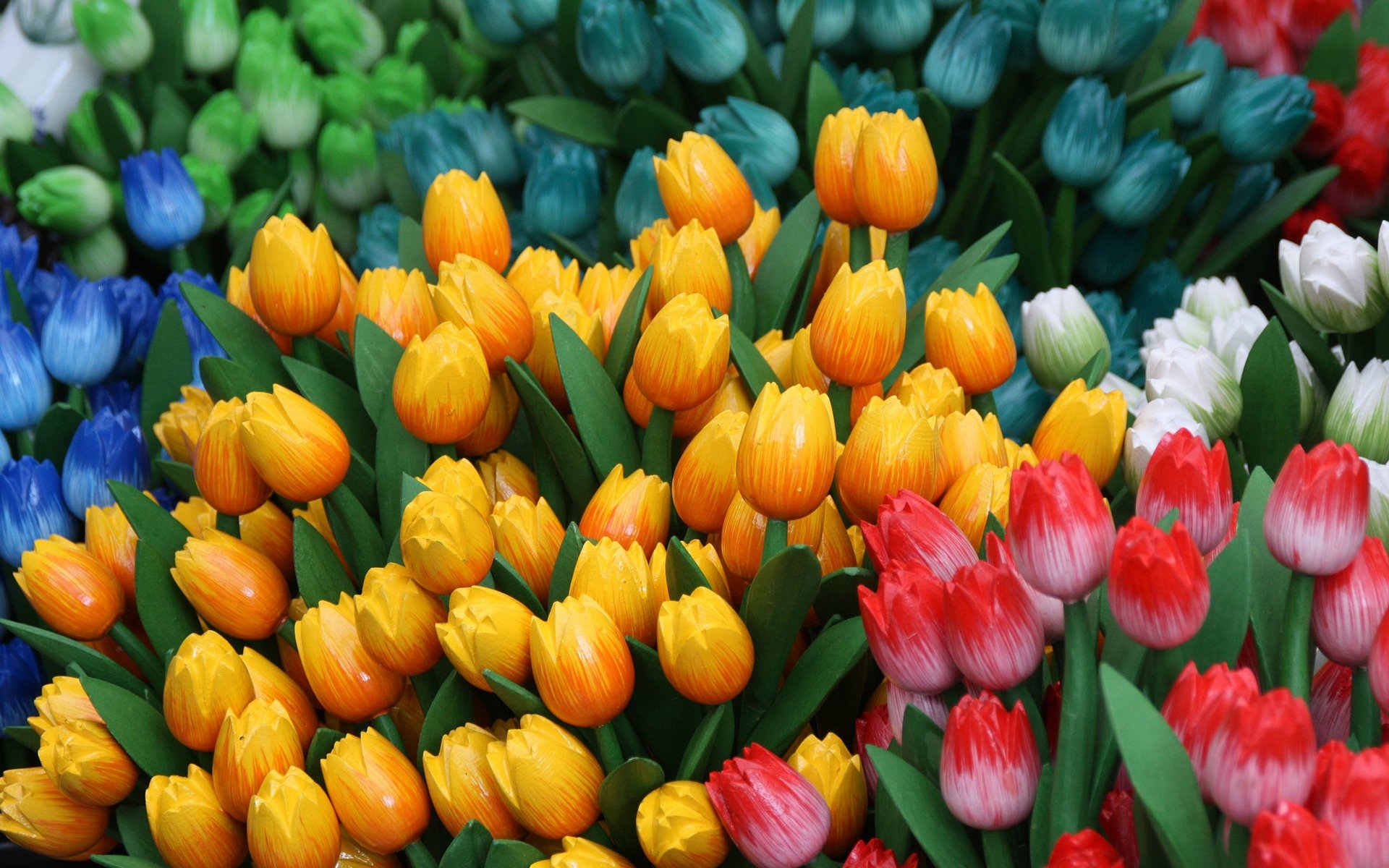 tulipes printemps humeur joie jaune