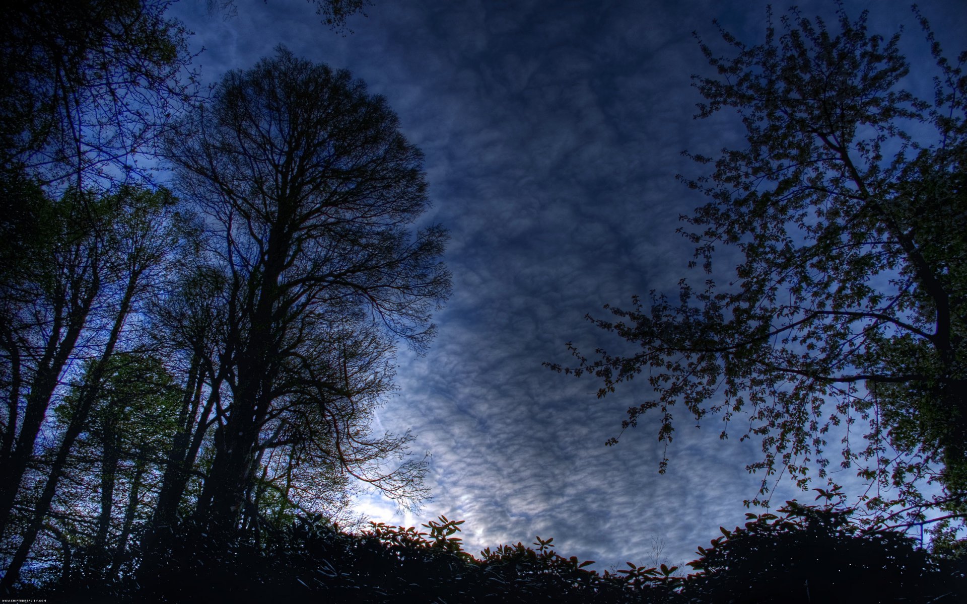 notte paesaggio cielo