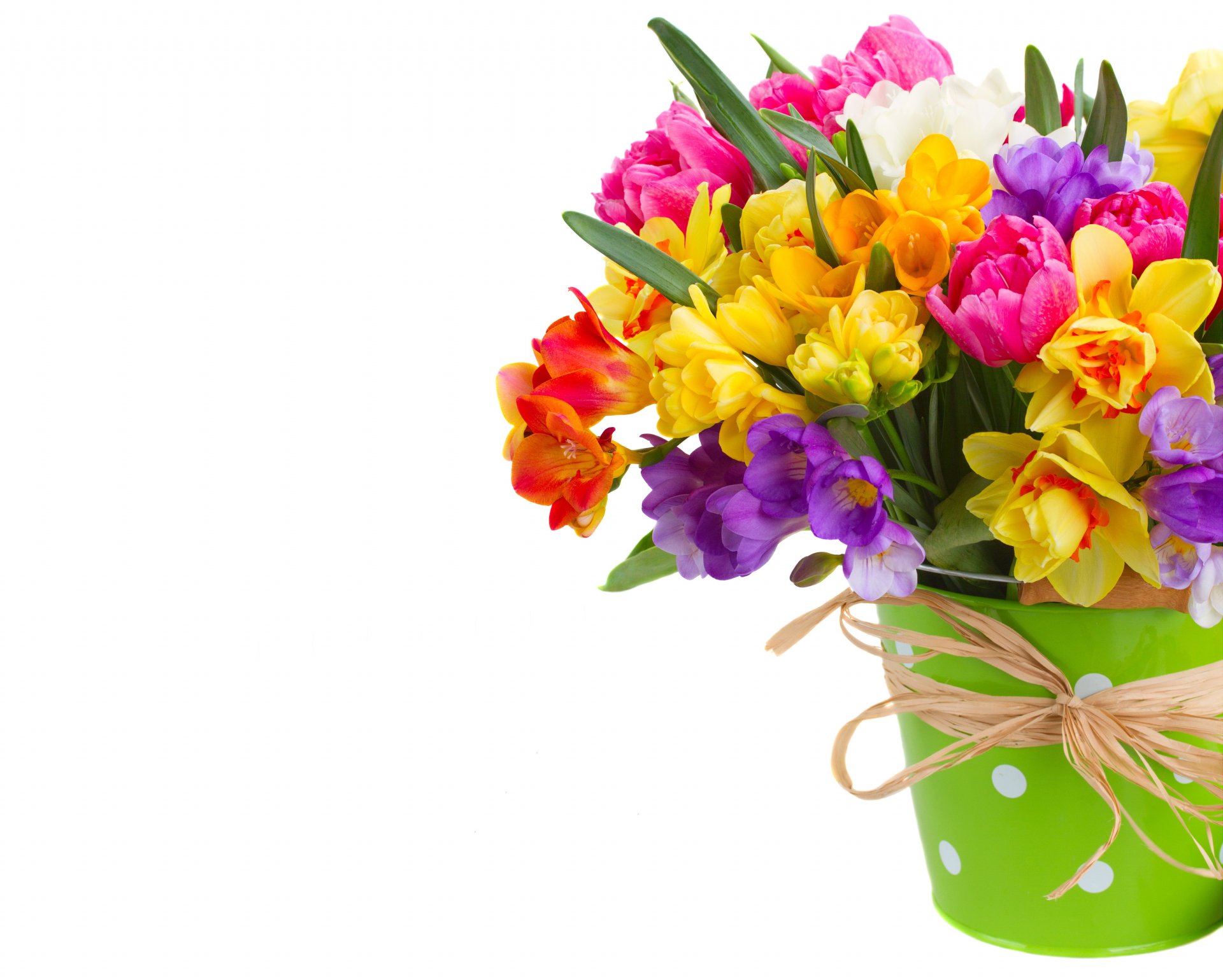 pring flowers bouquet colorful daffodil