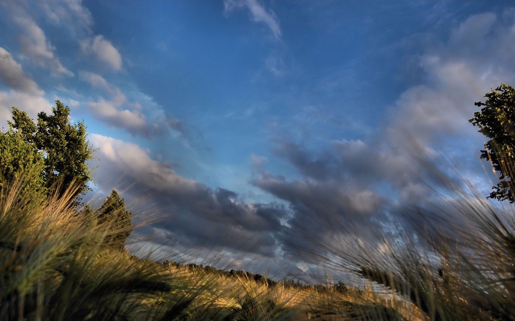 himmel feld nacht