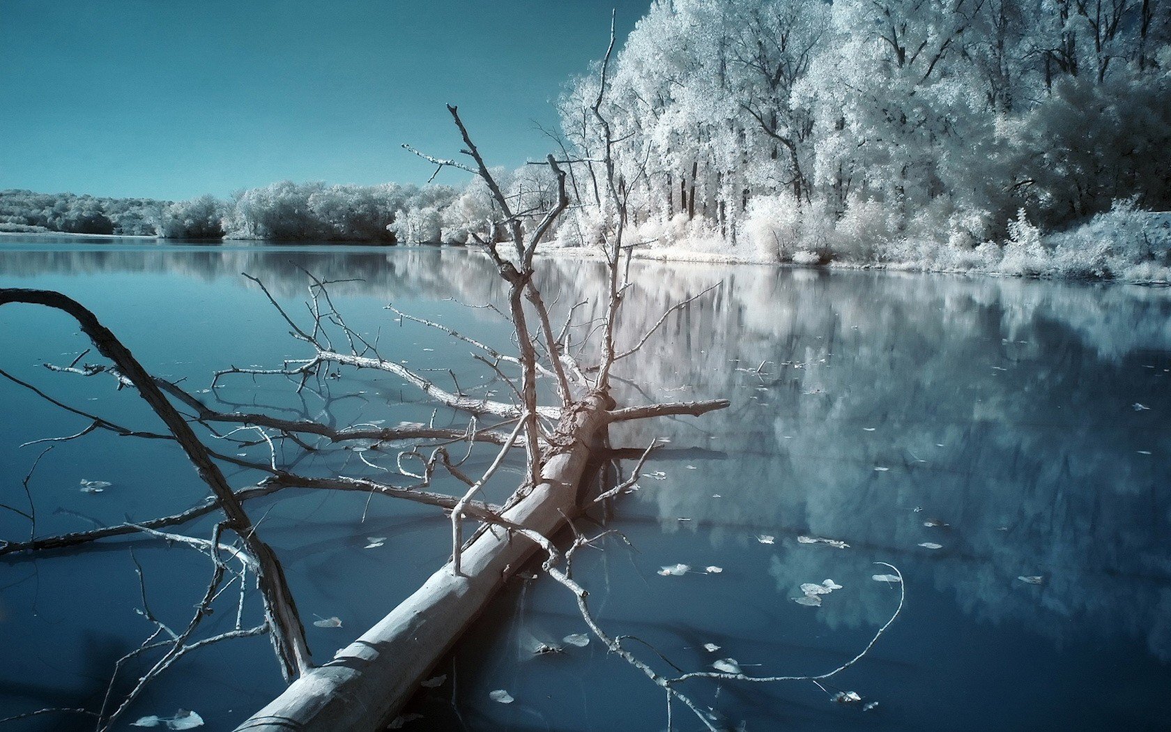 winter night lake cool