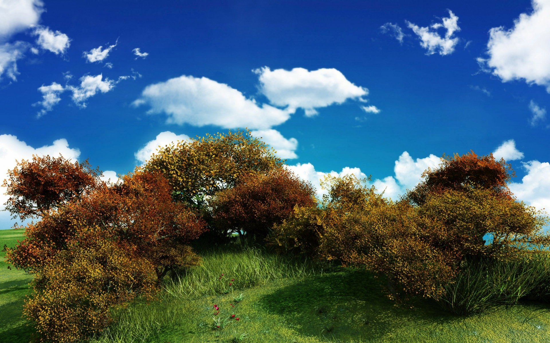 cielo vegetación arbusto nubes