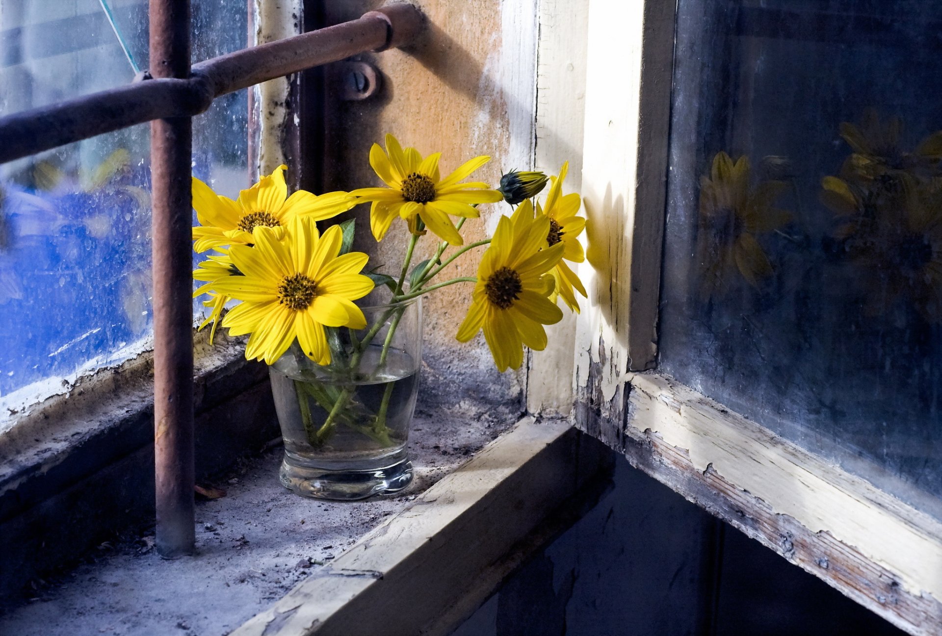 flower window background