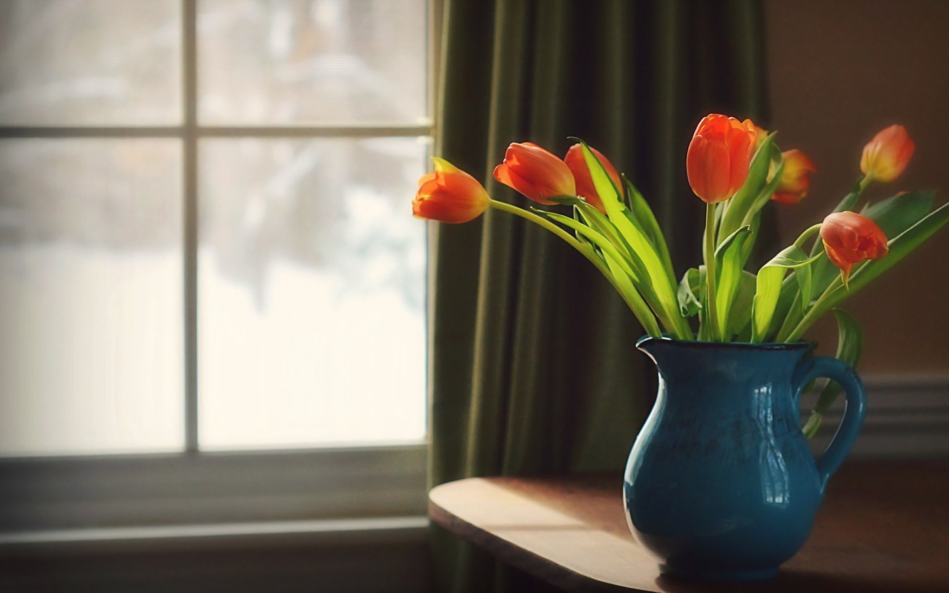 tulpen vase hintergrund