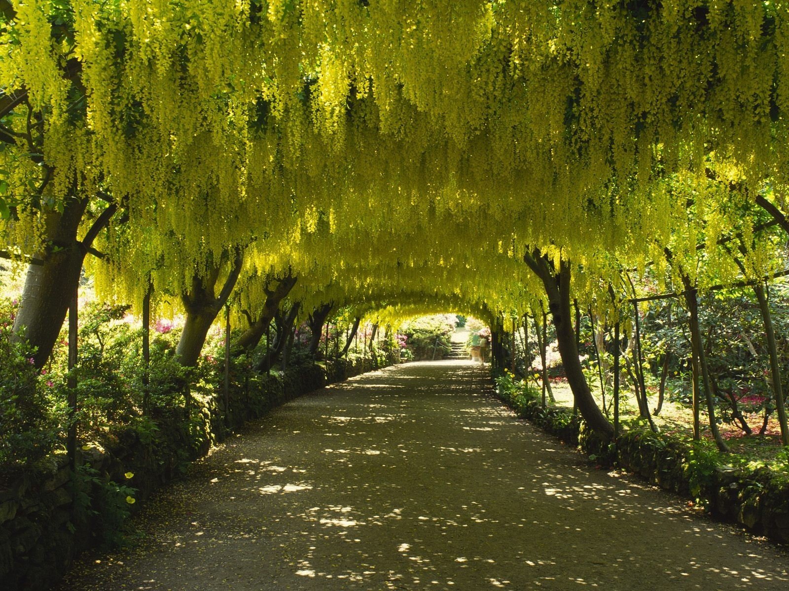 naturaleza carretera