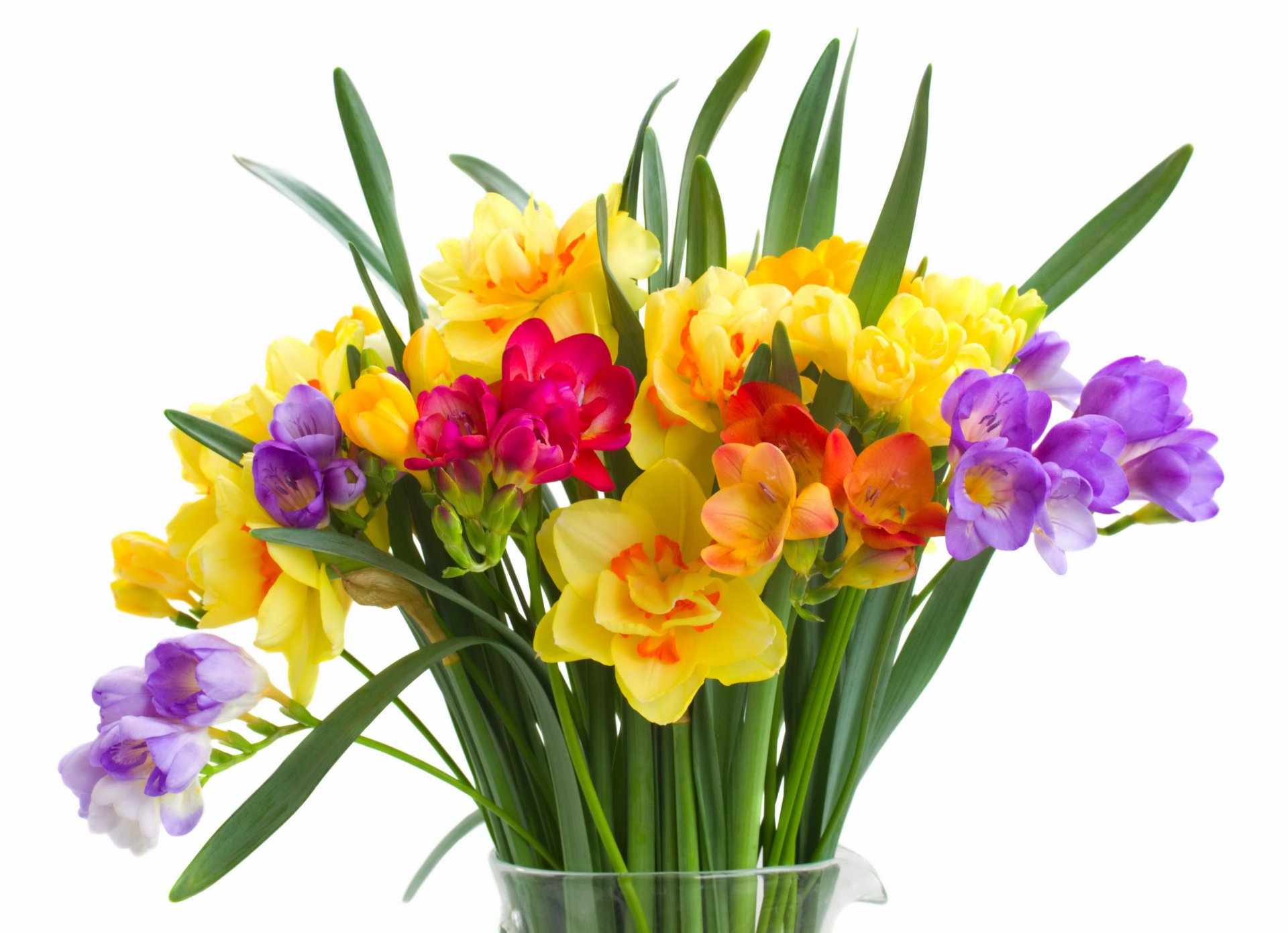 pring flowers bouquet colorful daffodil