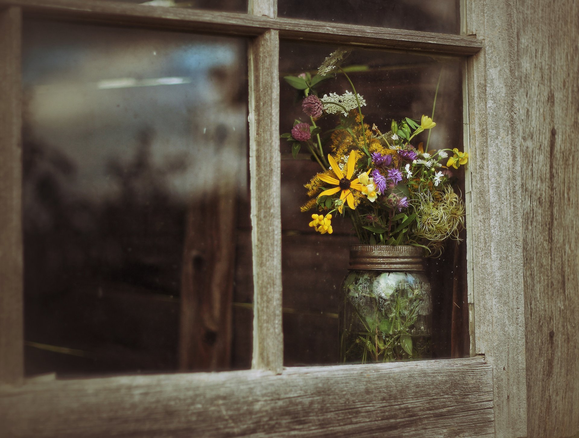 blumen fenster hintergrund