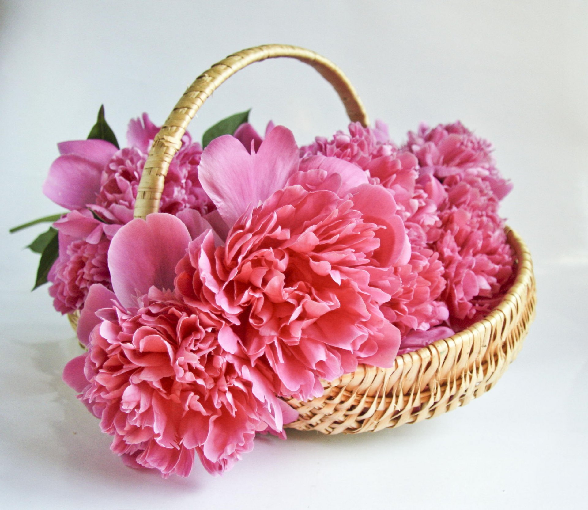 flower peonies shopping bouquet