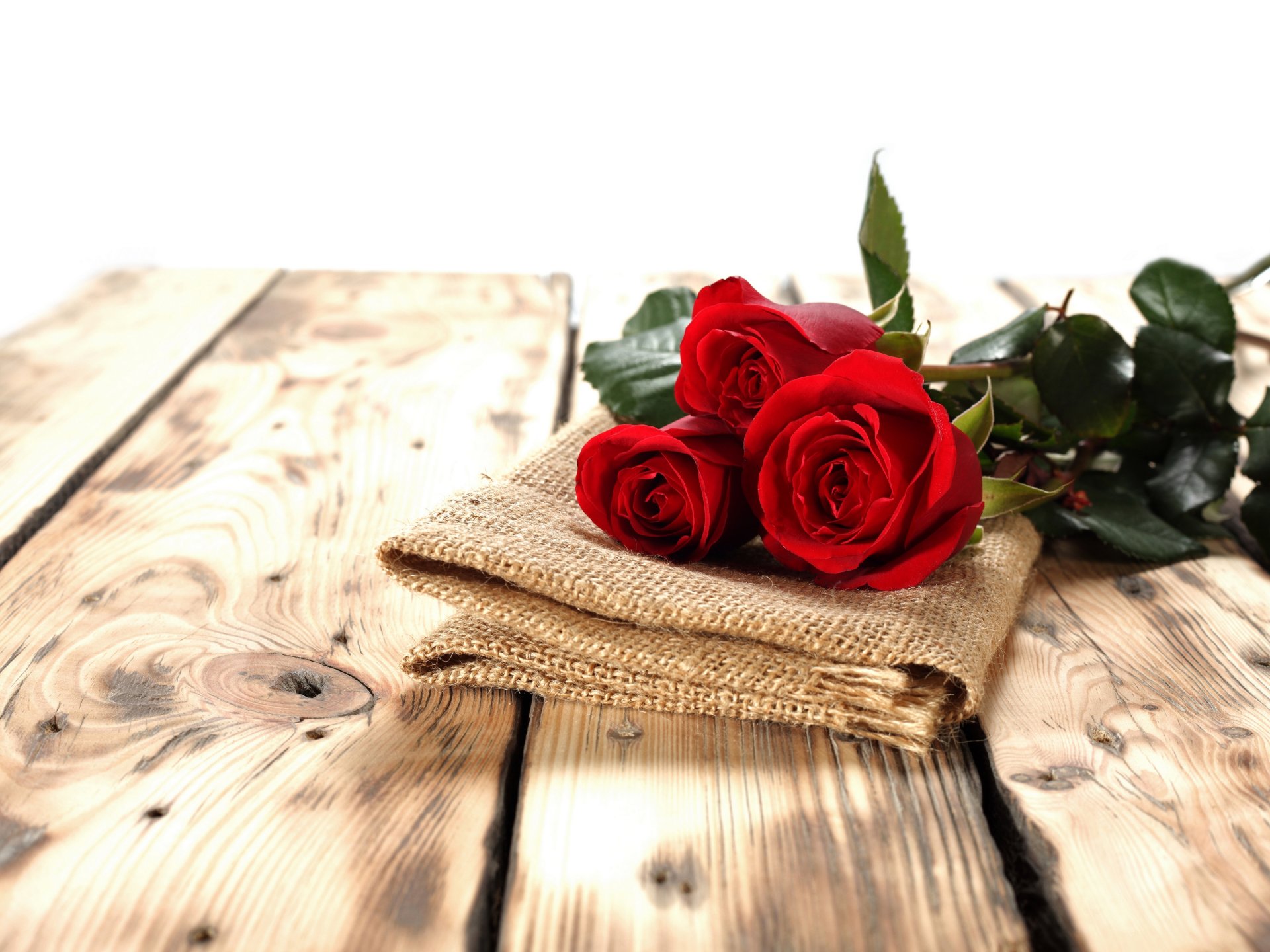 roses buds napkin board