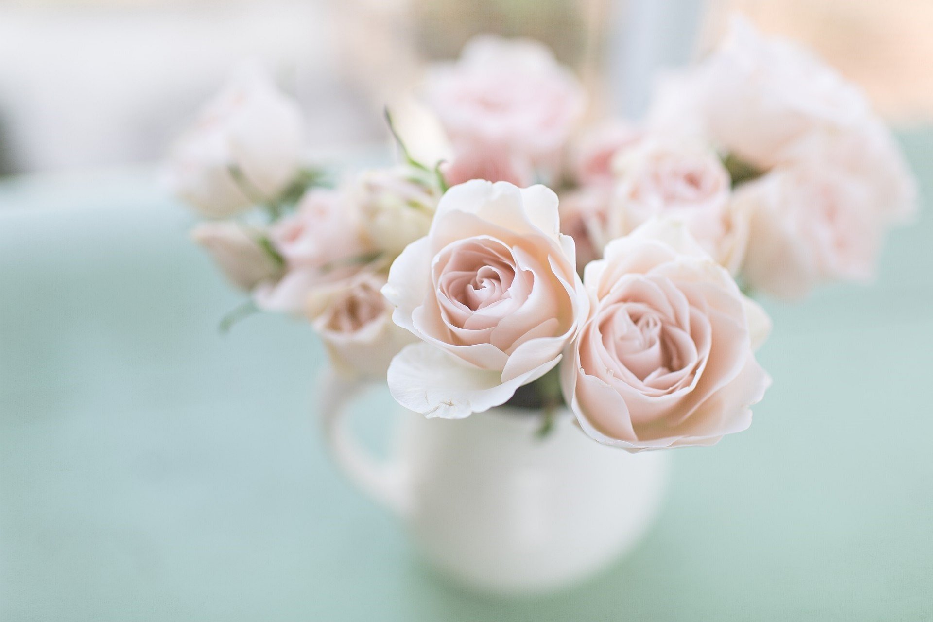 fleurs jardin pâle roses pâle