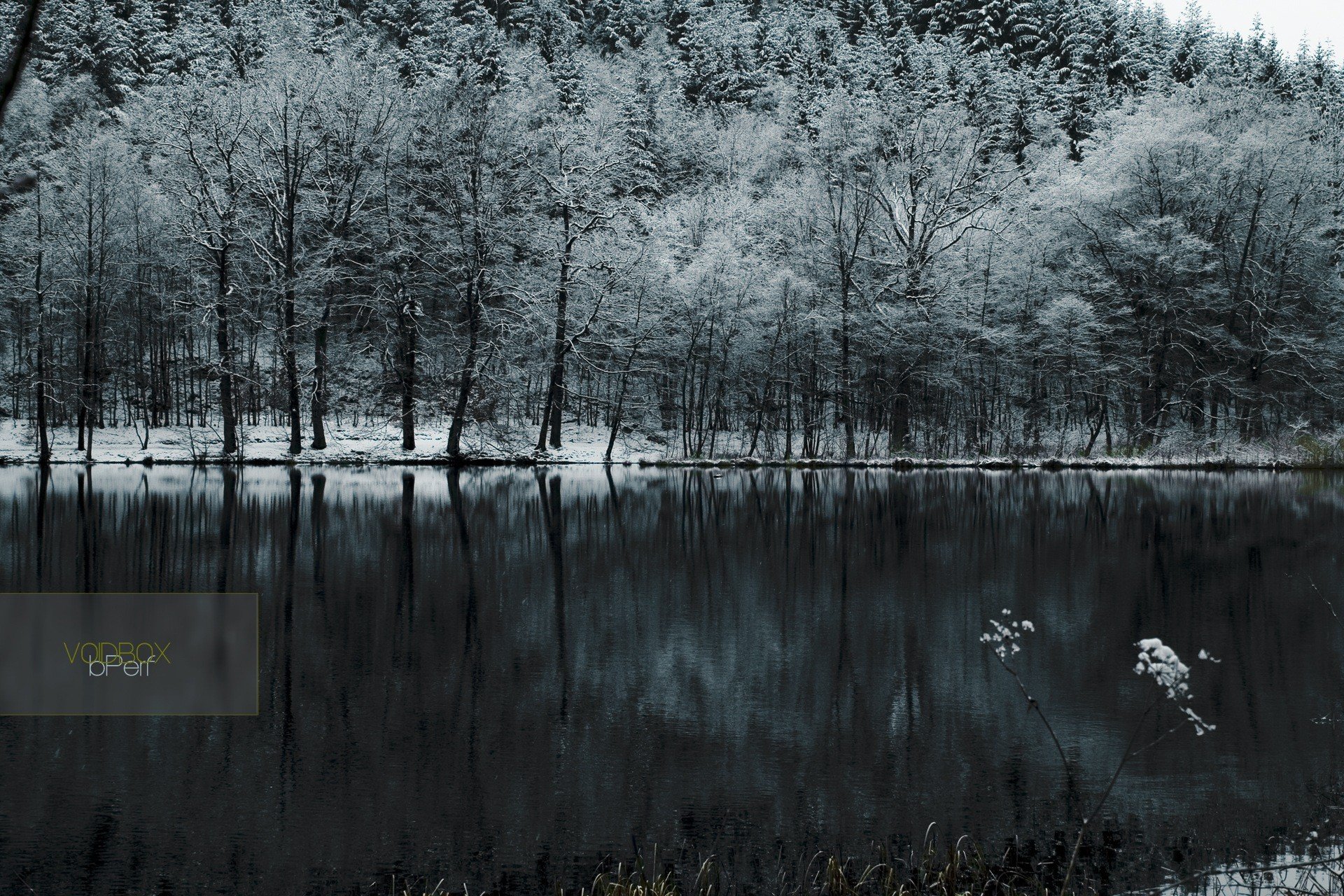 wald schnee see kälte