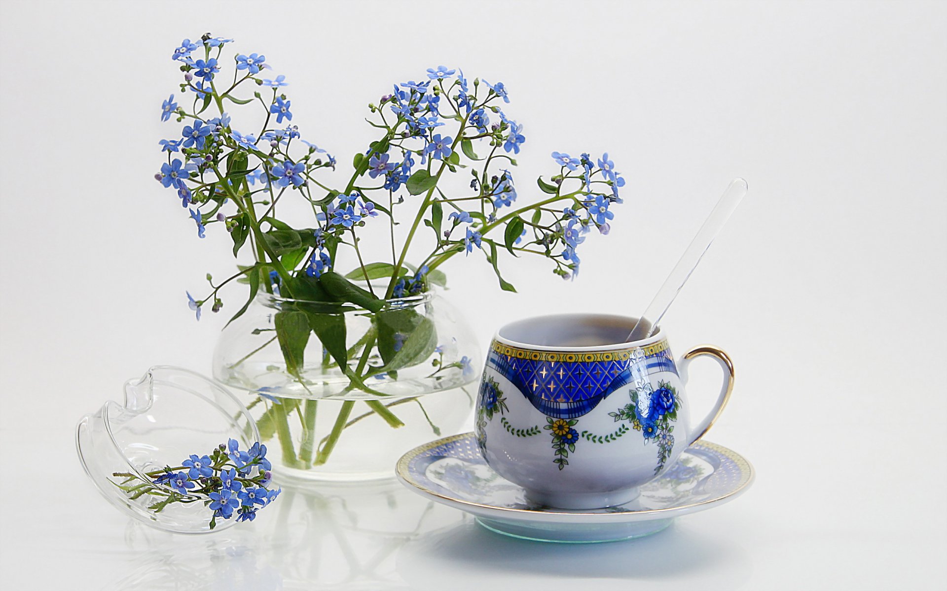 fleurs tasse fond