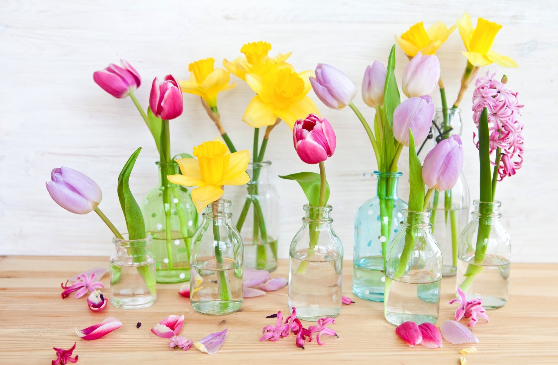 blumen tulpen rosa narzissen gelb blütenblätter flaschen