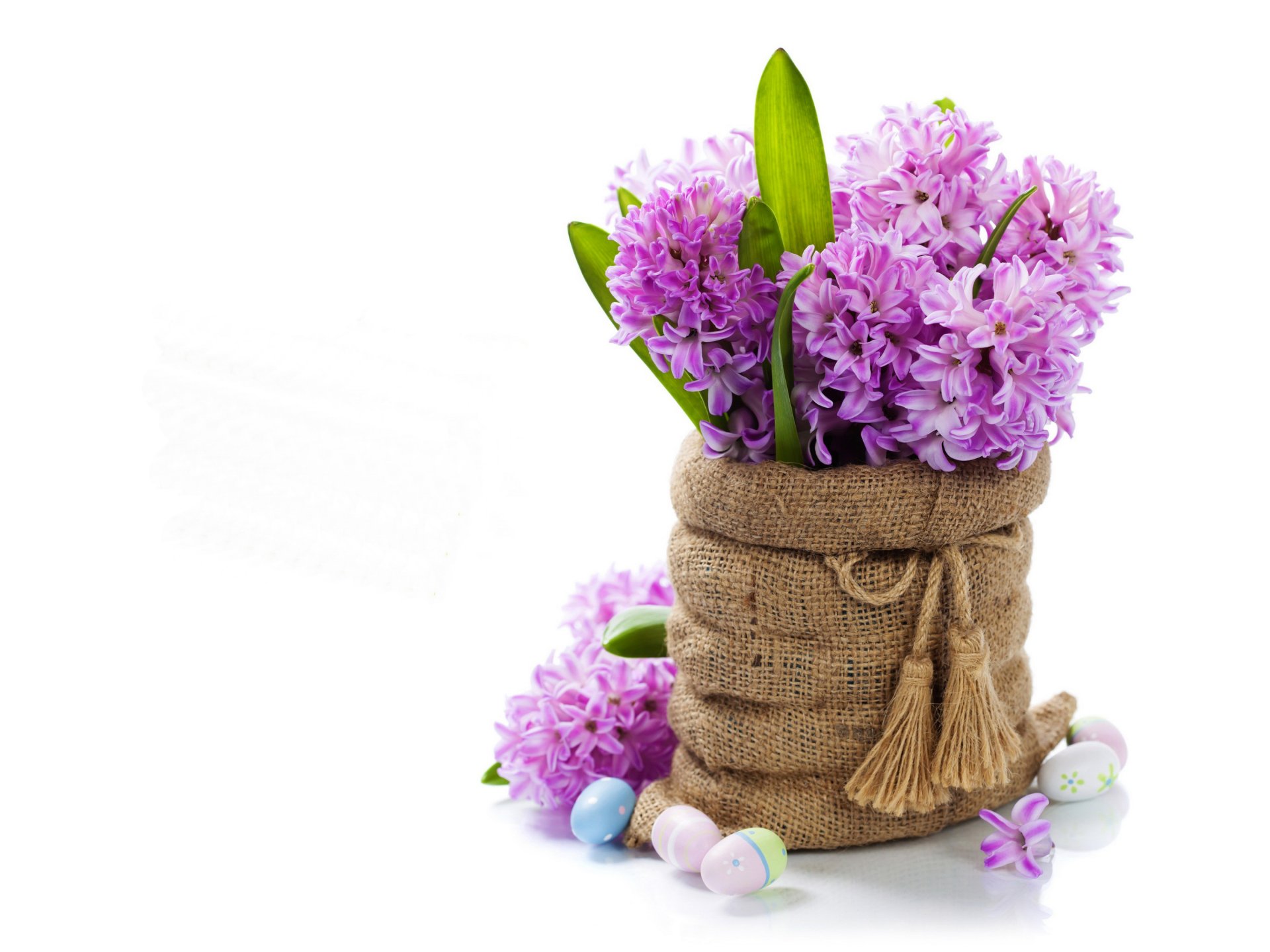 hyacinths easter eggs flower photo