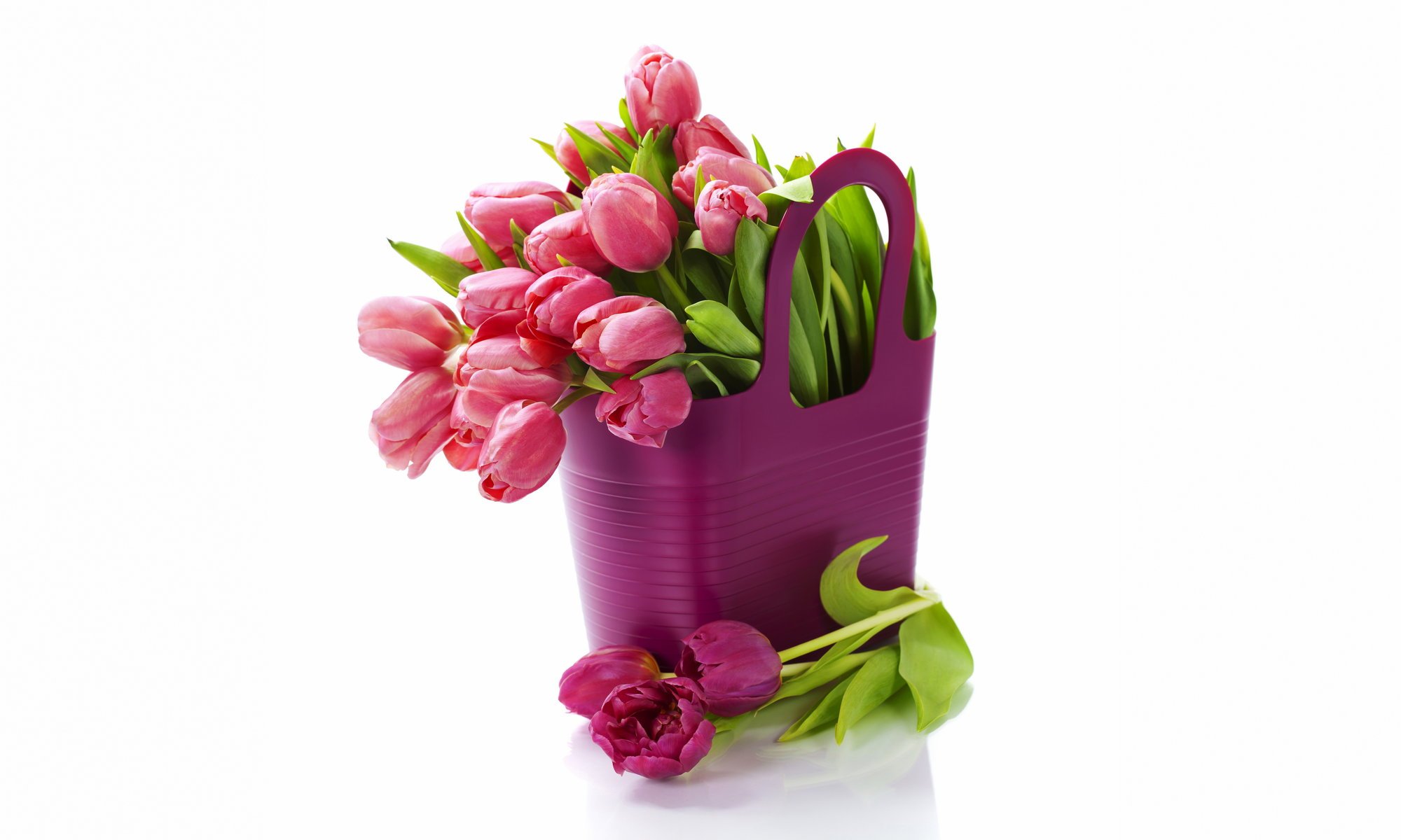 purple fresh tulips flowers bouquet