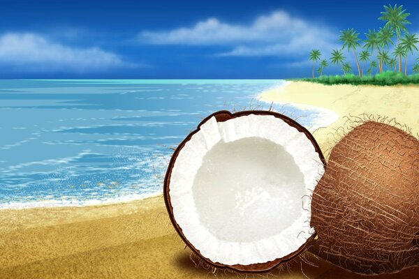 A coconut broken in half on the shore