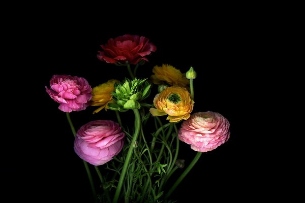 Tallos de flores en un ramo con pétalos de sombra