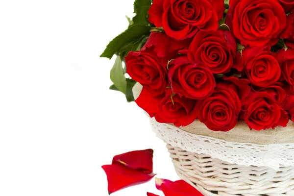 Bouquet of red roses in Karzin