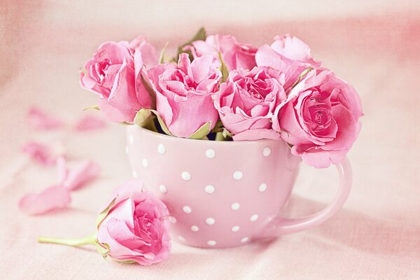 Bouquet of roses in a pink cup