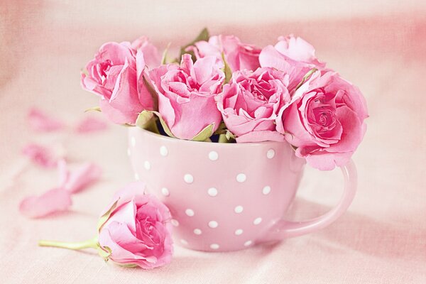 Ramo de rosas en una taza rosa