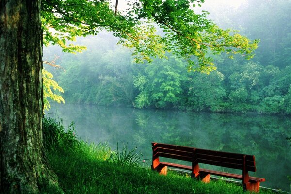 Panchina sul berugu stagno nel parco