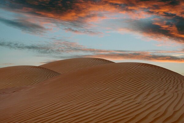 Yellow sand. Desert heat