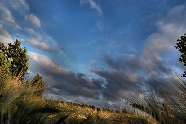 Nubes en el cielo azul. Campo