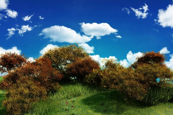 Green bushes against the sky and clouds