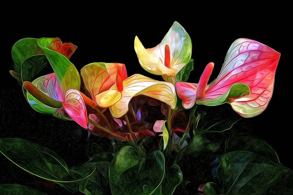 Anthurium flowers. Anthurium greens. Dark background