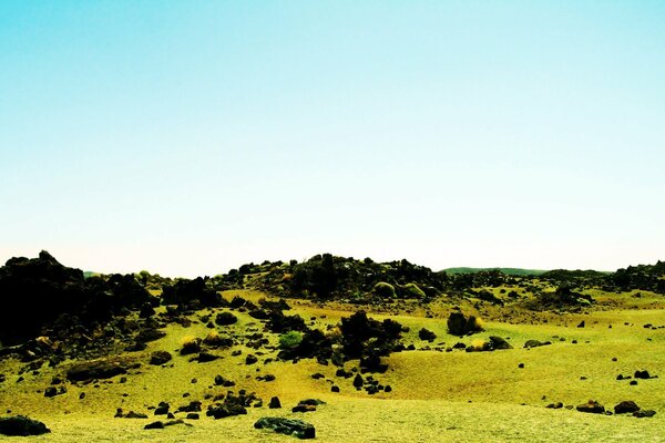 A field in the mountains, strewn with stones